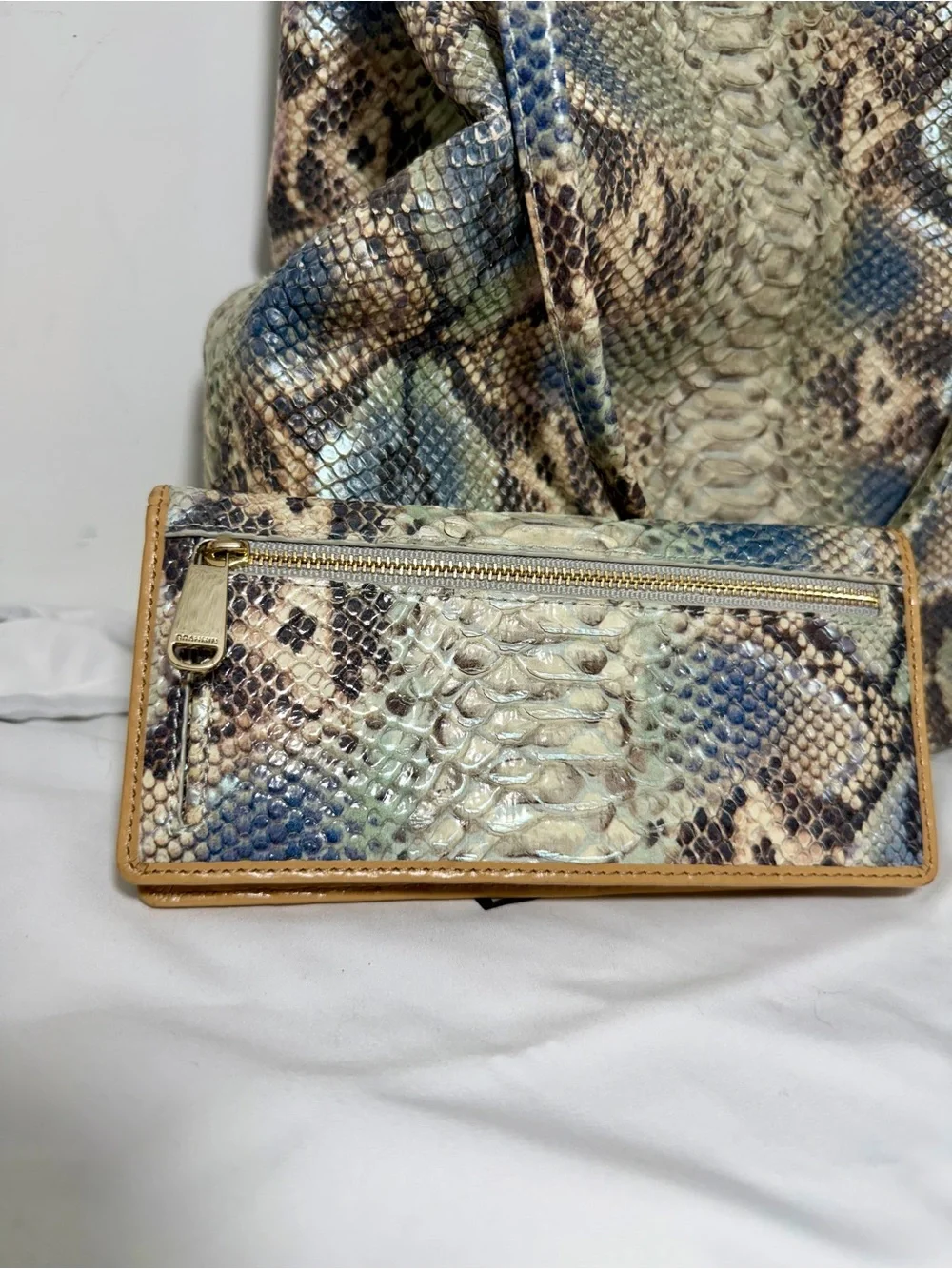 Brahmin this molly